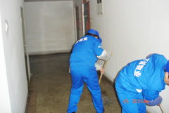 濮阳专业保洁服务指南 擦玻璃、清洗外墙与门头价格及家庭保洁须知