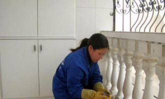 专业保洁服务全解析 从家庭到工厂，从基础到精细